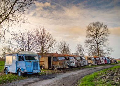 Family of rusty vans