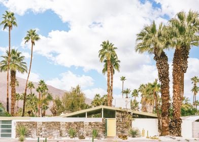 Palm Springs Architecture