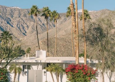 Palm Springs Retro Views