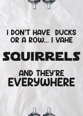 Squirrels Everywhere