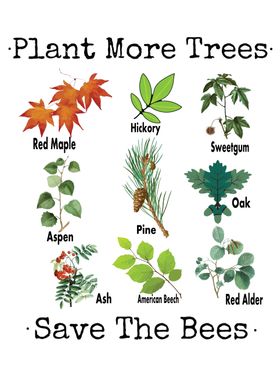 More Trees Save The Bees