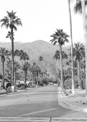 Palm Springs Street Photo