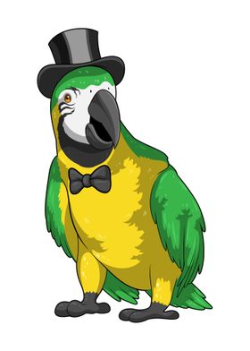 Parrot Groom Wedding