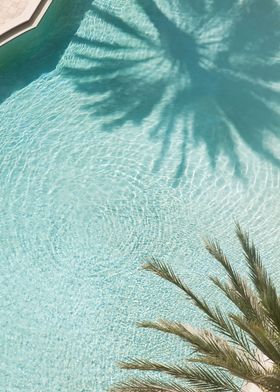 Palm Tree Pool Dream 2