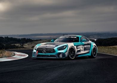 Mercedes amg gt4