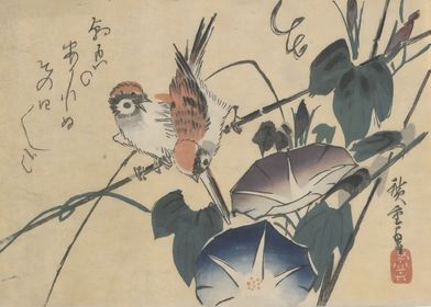 Ukiyo e Sparrows Glories