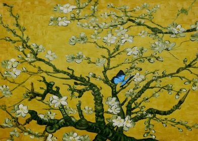 blossoming almond tree