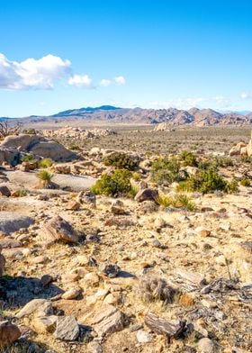 Joshua Tree National Park