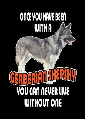 Gerberian Shepsky Dog