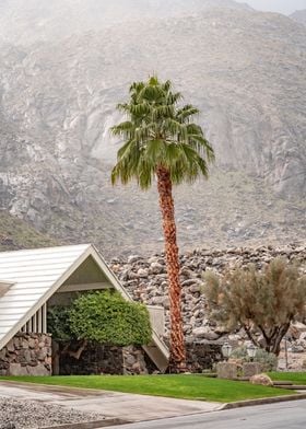 Palm Springs in the Fog