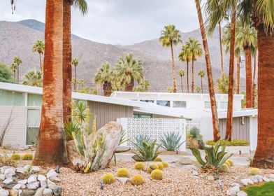 Palm Springs Midcentury