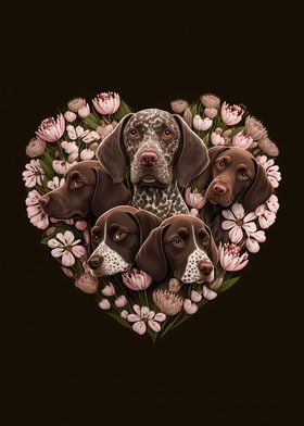  German Shorthaired Pointe