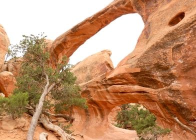 Arches National Park