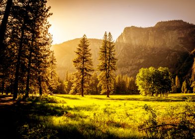 GREEN HILLS AND PLAINS