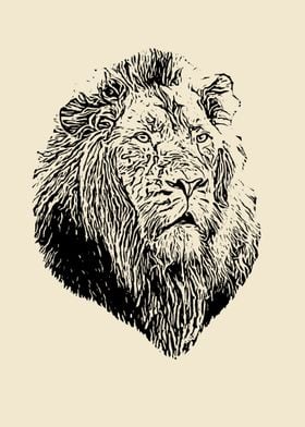 Lion portrait