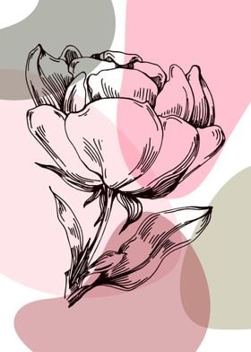 Peony