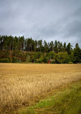 Swedish Farm