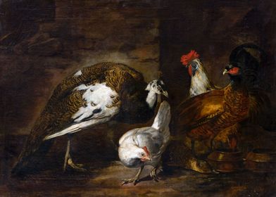 Poultry Yard with Peacock 