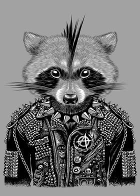Punk raccoon