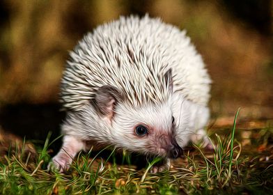 Hedgehog