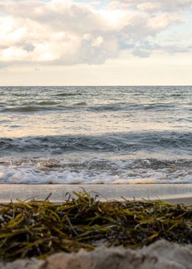 Baltic sea at sunset