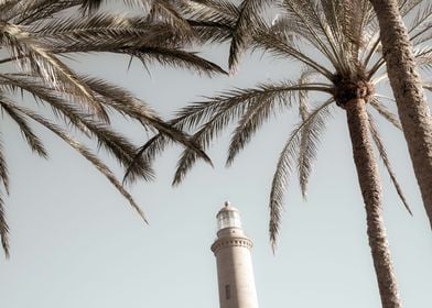 Lighthouse and Palms 1