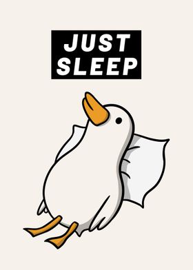 Just Sleep Duck Memes