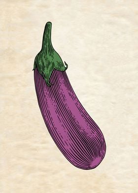 EGGPLANT VINTAGE