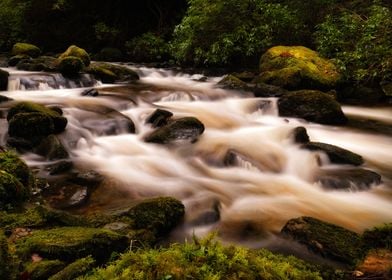 Mountain stream