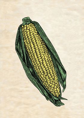 CORN ON THE COB VINTAGE