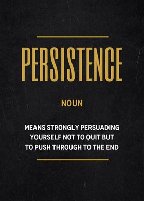 persistence definition