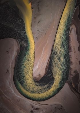 Snake Body