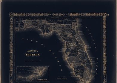 Florida USA vintage map 