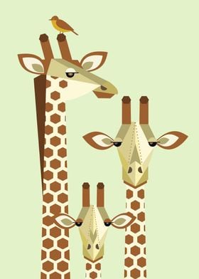 giraffe family