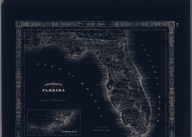 Florida USA vintage map