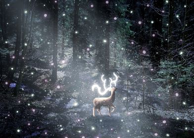 deer light rain