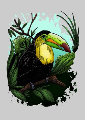 Toucan