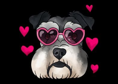 Mniature Schnauzer Love