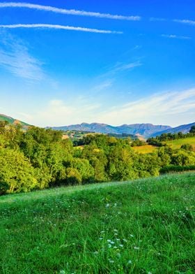 Landscape mountains green