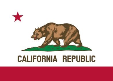 California State Flag