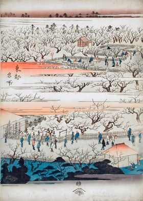 Ukiyo e Hiroshige