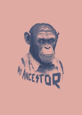 My Ancestor Chimpanzee no2