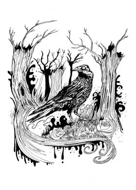 The Black Crow