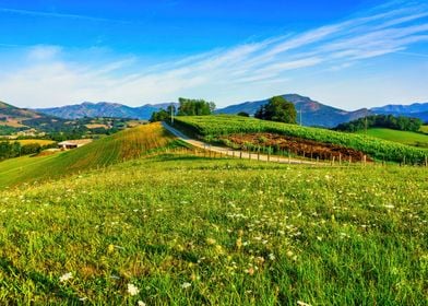 Landscape mountains green