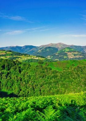 Landscape mountains green