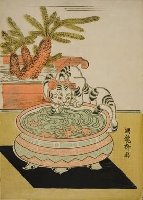 Ukiyo e Traditional Cat