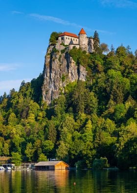 Bled Castle And Lake