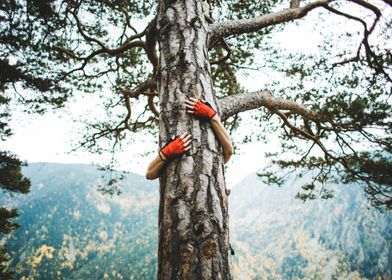 Tree hugger attachment