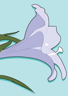 Illustration of a Lily 