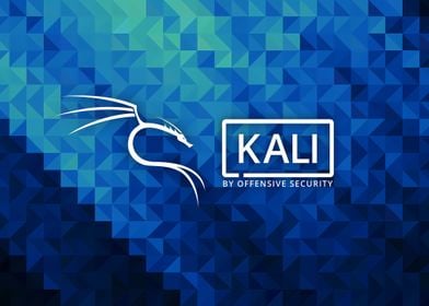 Kali Linux Pentest Os